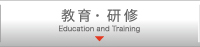 教育・研修